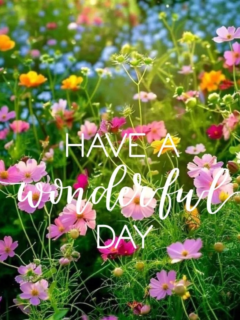 Have a wonderful day!